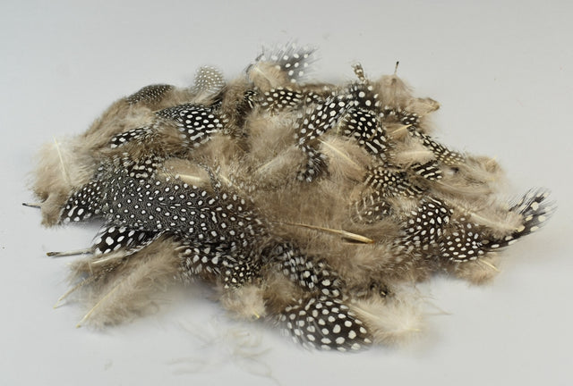 Image for Pene bibilica 10gr natur