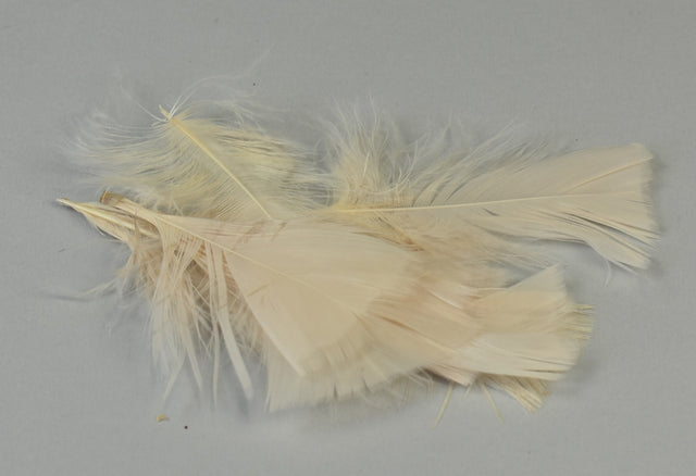 Image for Pene curcan 10gr. crem