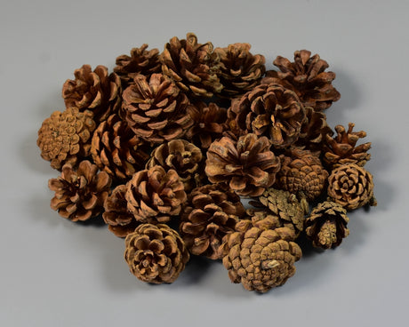 Image for Conuri jneapan crem
