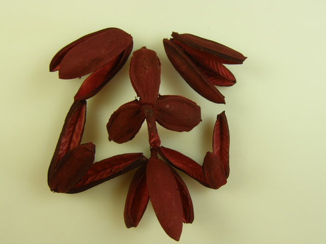 Image for Tridente rosu