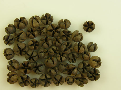 Image for Roade lalea natur