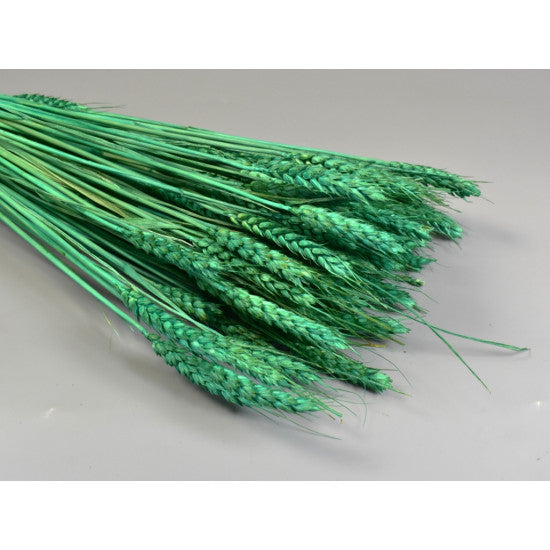 Grau fara arifte 150g inalbit turcoaz