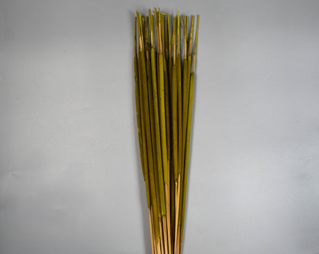 Image for Typha India verde deschis