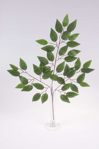 imagine produs Creanga ficus x12 frunze