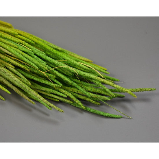 Phleum 80gr verde deschis