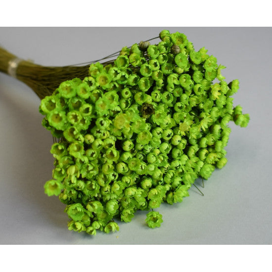 Glixia 50g verde deschis