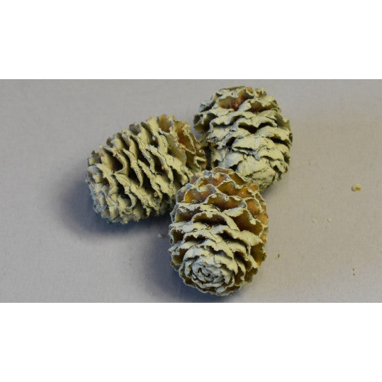 Meridianum vopsit verde deschis