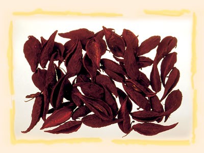 Image for Tutun salbatic boreaux