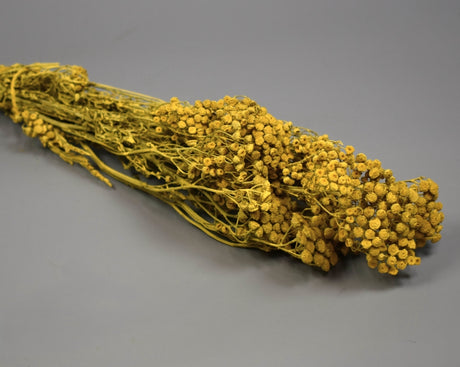 Image for Vetrice vopsit galben