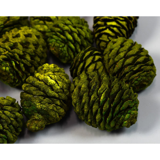 Murii verde deschis