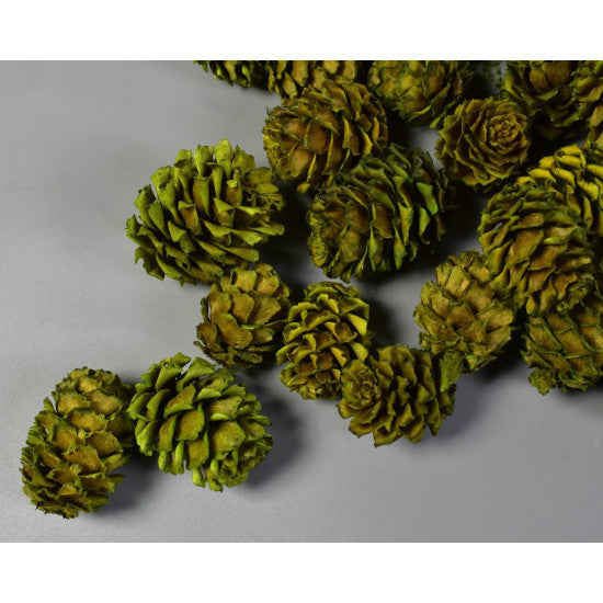 Salignum verde deschis
