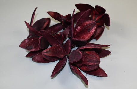 Image for Wild lily bordeaux