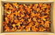 Image for Wild lily colorat portocaliu