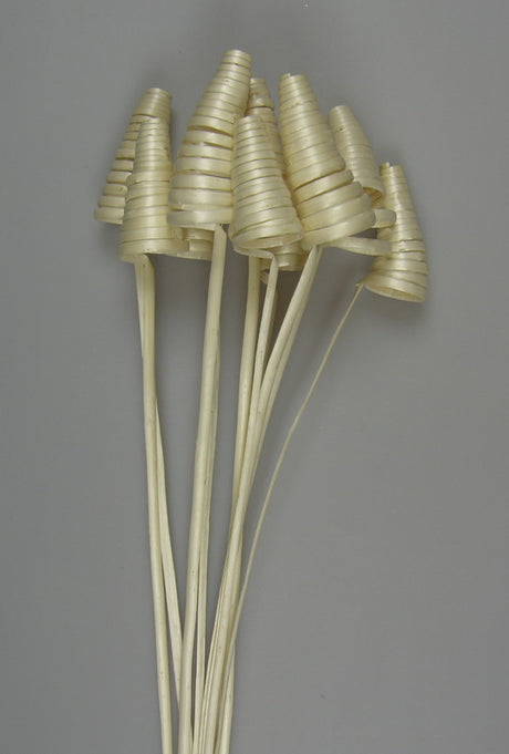Image for Willow cone inalbit