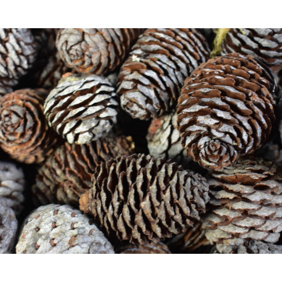 Murii natur 2kg