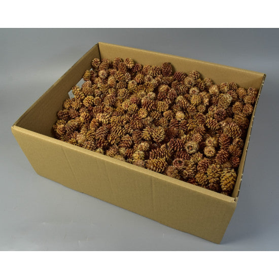 Salignum natur 2kg