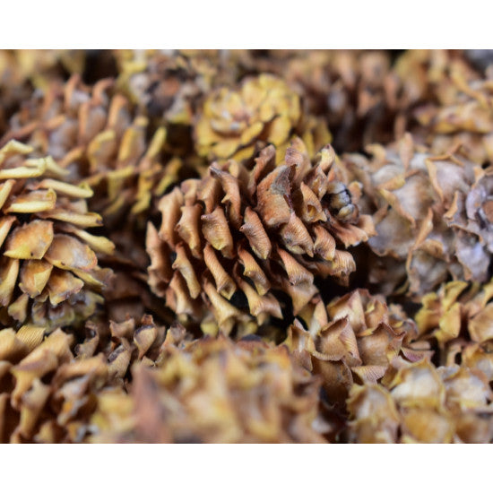 Salignum natur inchis 2kg