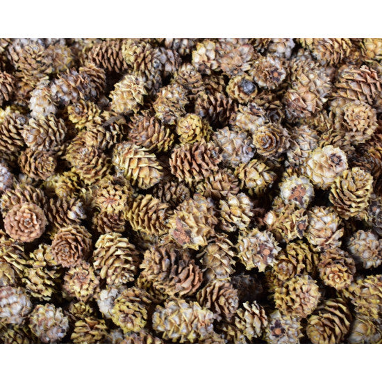 Salignum natur inchis 2kg