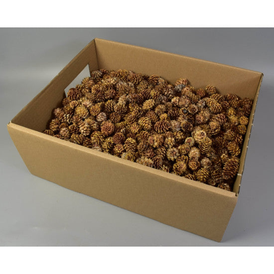 Salignum natur inchis 2kg