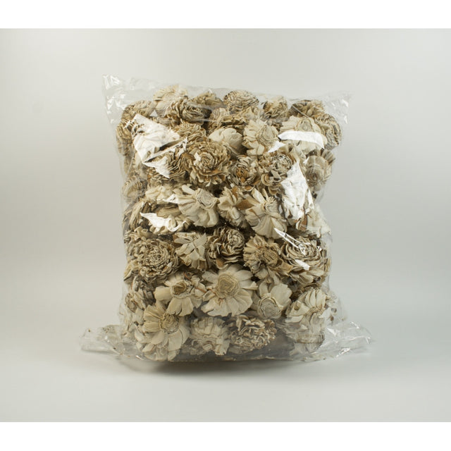 Capete anemone ming 6cm cirmos natur 200buc/pachet