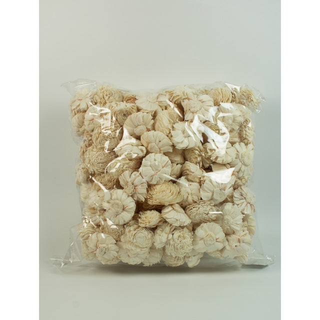 Capete anemone ming 6cm natur 200buc/pachet