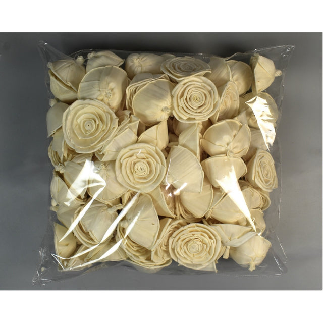 Capete trandafiri ming 8cm natur S/100