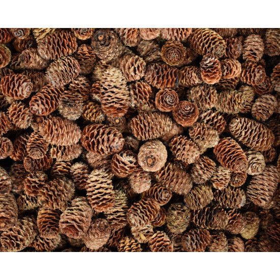 Sabulosum inchis natur 2.7kg
