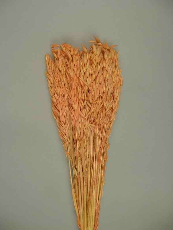 Ovaz 150gr inalbit piersica