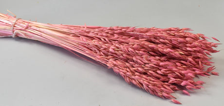 Image for Ovaz 150gr inalbit roz