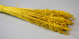 Image for Ovaz 150gr inalbit galben