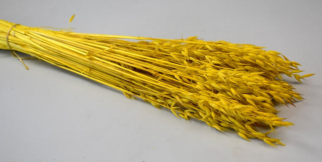 Image for Ovaz 150gr inalbit galben