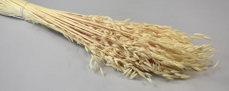 Image for Ovaz 150gr inalbit