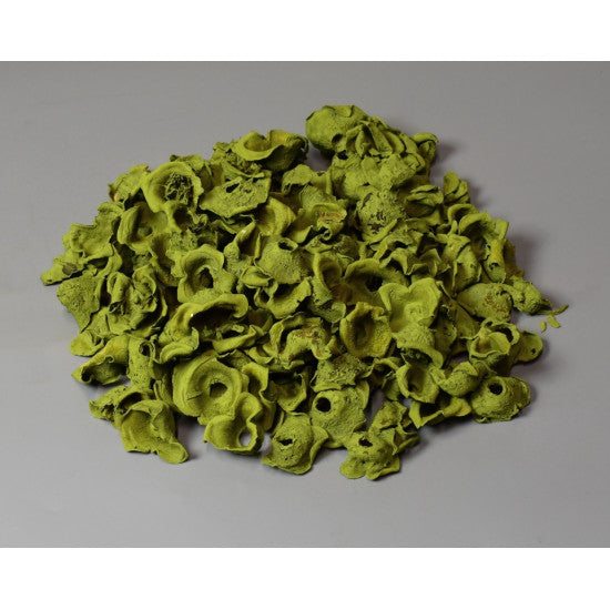 Zem vopsit verde oliv
