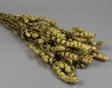 Image for Salvie 60gr natur