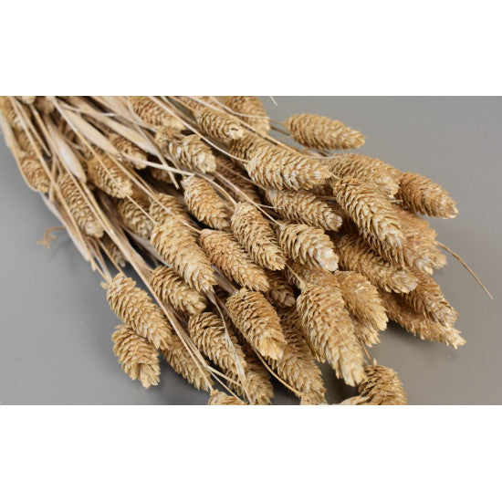 Tallaris 100gr cu chiciura