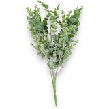Buchet eucalyptx5 H:50cm
