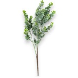 Buchet eucalypt x3 H:56cm