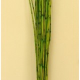 Stuf colorat verde deschis