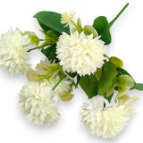 Buchet dalie x5 H:30cm crem
