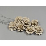 Flori acacia 6cm cu chiciura
