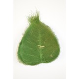 Frunze voal S/100 verde inchis