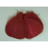 Frunze voal S/100 bordeaux