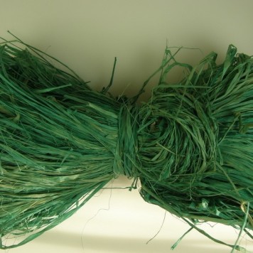 Raffia aqua