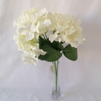 Buchet hortensii x5 alb