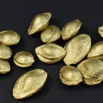 Samburi de piersica auriu