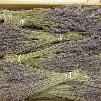 Levantica franceza 1.2kg