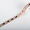 Benzi decor 15mmx10m natur