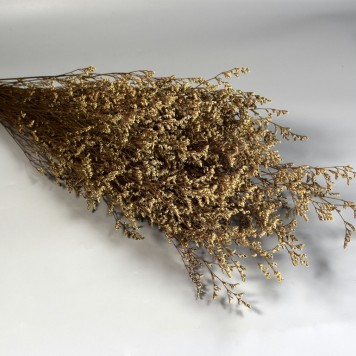 Sóvirág Limonium sinensis prep. fehér