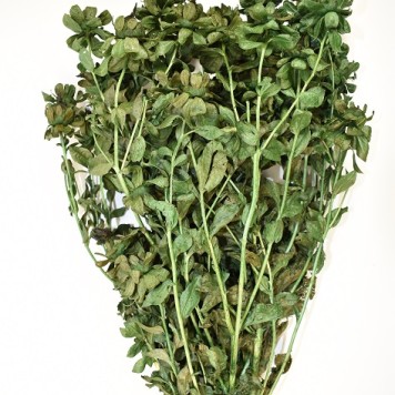 Sáfrány 150g söt.zöld